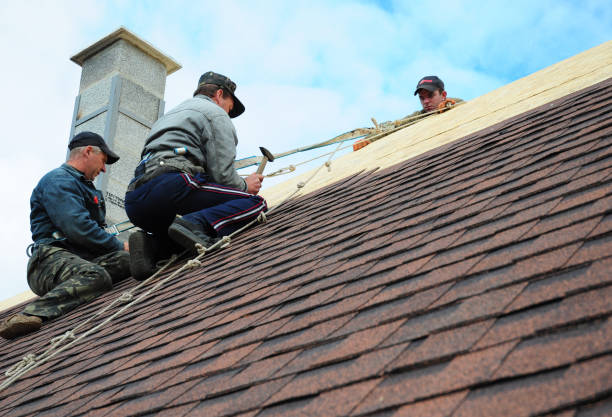 Best Roof Replacement Cost  in Burt, MI