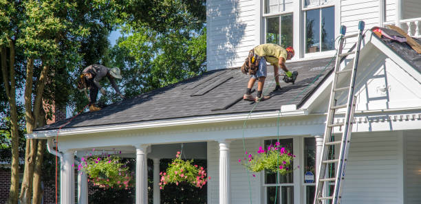 Best Local Roofing Companies  in Burt, MI